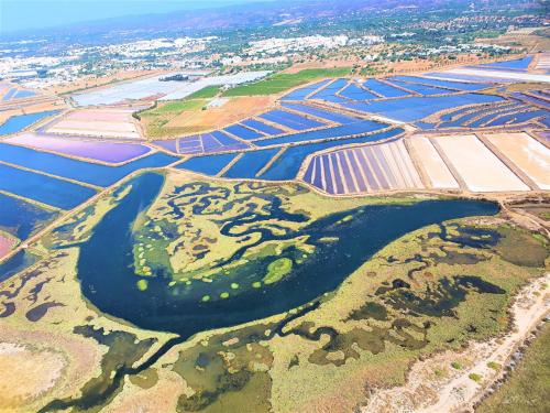 an aerial view of a large field of water at Apartamento Praia Fuseta 3 - Ria Formosa in Olhão