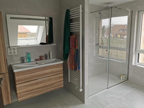 uma casa de banho com um lavatório e um chuveiro em Superbe Maison Jacuzzi+Piscine au cœur des vignes em Pfaffenheim