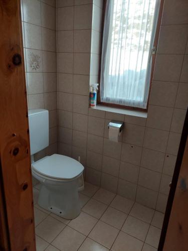 ヴァルト・イム・ピンツガウにあるFerienwohnung Muhlbauerのトイレと窓のあるバスルーム