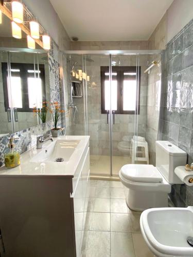a bathroom with a sink and a toilet and a shower at Balcones con Encanto - vistas al conjunto monumental Patrimonio de la Humanidad in Úbeda