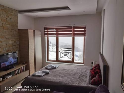 ein Schlafzimmer mit einem Bett und einem großen Fenster in der Unterkunft Studio apartman p13 in Kopaonik