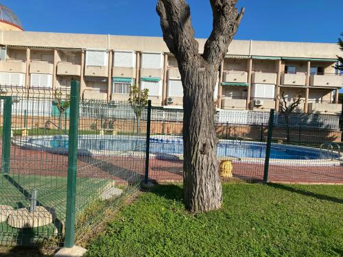 una cerca alrededor de un árbol junto a una piscina en Apartamento Mil Palmeras, en Pilar de la Horadada
