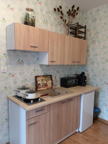 Kuchyň nebo kuchyňský kout v ubytování Studio in Kretomino