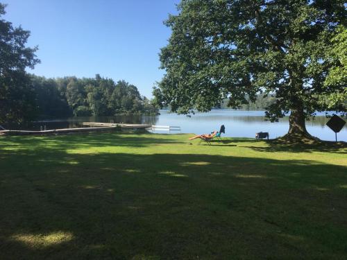 a person sitting in a chair under a tree near a lake at Breanäs Hotell in Immeln