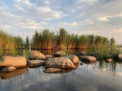 a body of water with rocks and grass at Vējavas in Svettsiyems