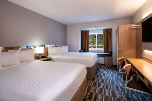 Microtel Inn & Suites by Wyndham Georgetown Lake tesisinde bir odada yatak veya yataklar
