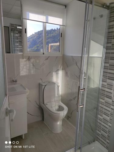 ein Bad mit einem WC und einer Glasdusche in der Unterkunft apartamento genil in Granada