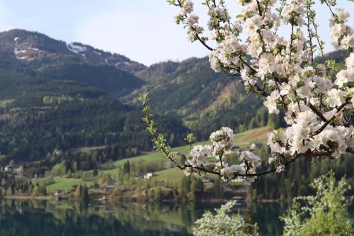 a cherry blossom tree with a view of a valley at Haus Schmied in Weissensee