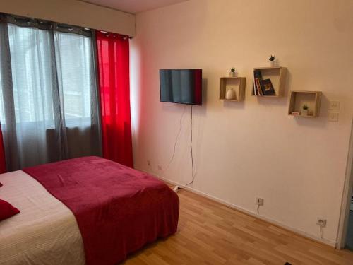 Un dormitorio con una cama y un televisor en una pared. en APPART PORT DU CANAL, en Dijon