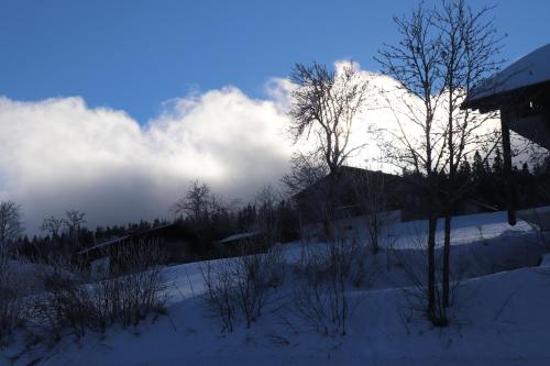 a snow covered field with clouds in the sky at FitApartman in Mitterfirmiansreut