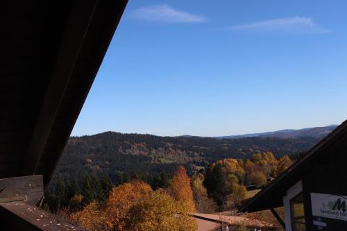 a view from the top of a mountain with trees at FitApartman in Mitterfirmiansreut