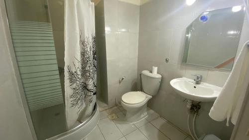 a bathroom with a toilet and a sink and a shower at New Park Hotel in Amman