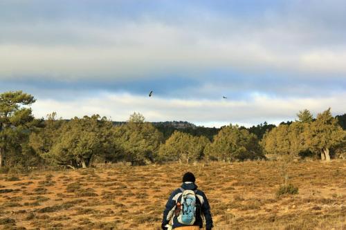a person with a backpack is walking through a field at Casa el Escalerón in Uña