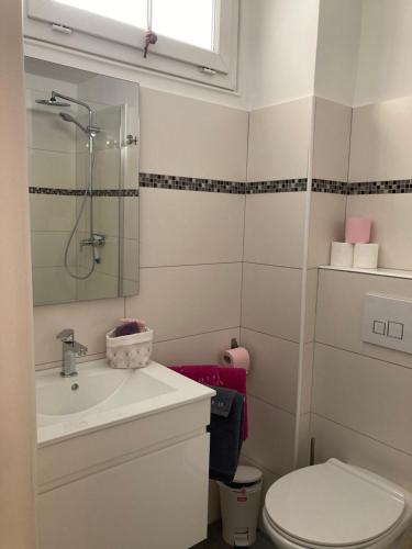 a bathroom with a toilet and a sink at Zilarelle in Ajaccio