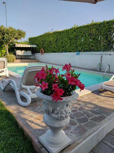 a vase with flowers in it next to a pool at Camere da Mirella in Lazise