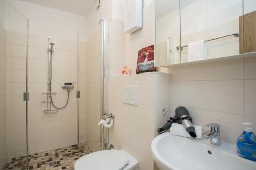 Un baño con ducha, inodoro y lavabo. en Welcome in - Am Kleehagen 51-F, Niedersfeld-Winterberg, en Winterberg