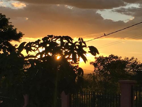 a sunset behind a tree in front of a fence at KUKA ZEN in Pirenópolis