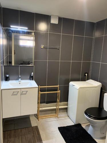 une salle de bain avec un lavabo, des toilettes et un miroir dans l'établissement Appartement cosy proche Roissy CDG Astérix DisneyLand Paris, à Goussainville