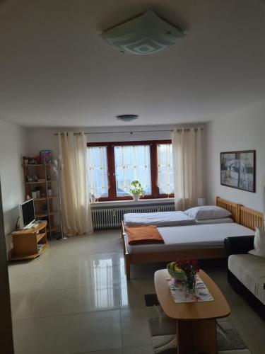 ein Wohnzimmer mit 2 Betten und einem Sofa in der Unterkunft Airport Apartments Valentina in Meckenbeuren