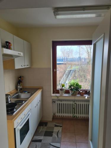 eine Küche mit einem Waschbecken und ein Fenster mit Aussicht in der Unterkunft Airport Apartments Valentina in Meckenbeuren