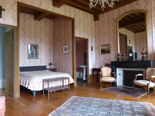 une chambre avec un lit et une cheminée dans l'établissement Château de Souesmes, à Souesmes