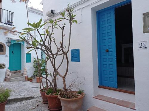 Billede fra billedgalleriet på CASA PURICA i Frigiliana