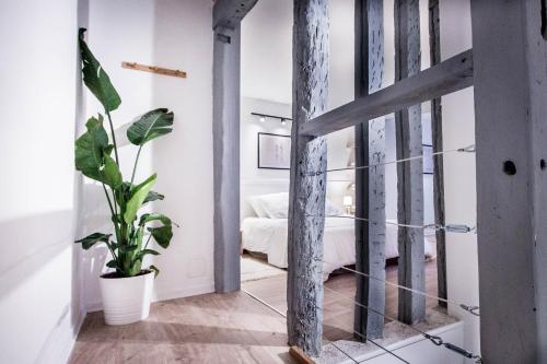une chambre avec une plante en pot dans l'établissement MAYA Appartements & Suites, à Cosne Cours sur Loire
