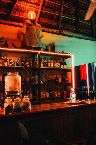 a bar with a shelf with bottles of alcohol at Aldea Che-Eek , con acceso a un club de playa privado in Bacalar