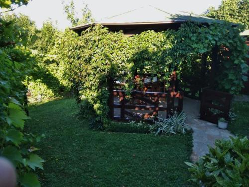 a garden with a fence covered in ivy at Apartmani Zapis Vrdnik in Vrdnik