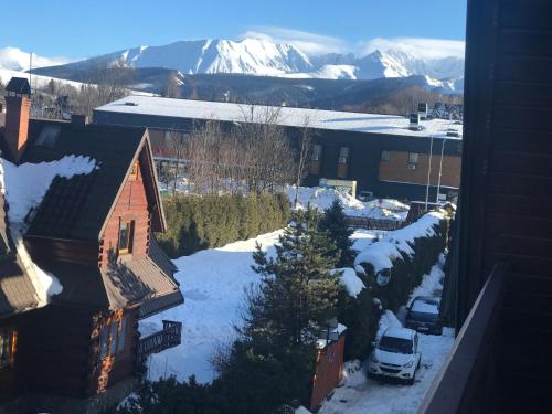une cour enneigée avec une maison et une montagne enneigée dans l'établissement apartament Dominik, à Zakopane