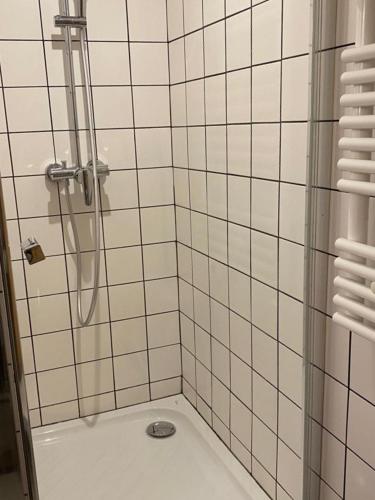 La salle de bains est pourvue d'une douche avec un lavabo. dans l'établissement Bordeaux Chéri, à Bordeaux