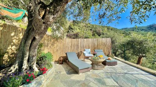 a patio with two chairs and a table and a tree at Foglie d'Argento in Moneglia