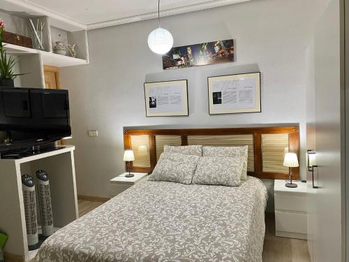 1 dormitorio con 1 cama y TV de pantalla plana en Centro Goya Apartamento, en Madrid
