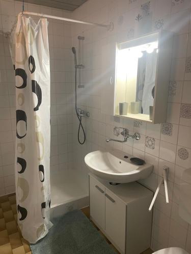 a bathroom with a sink and a shower with a mirror at Martinov dom in Kranjska Gora