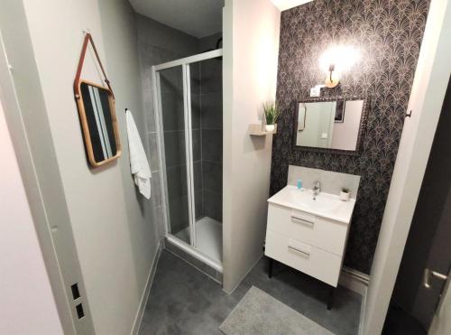 une salle de bain avec douche et lavabo dans l'établissement LE GUILHEMéRY - Canal du Midi - Free Parking, à Toulouse