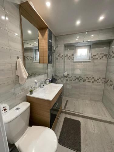 a bathroom with a toilet and a sink and a shower at Chilia 2 Apartments in Chilia Veche