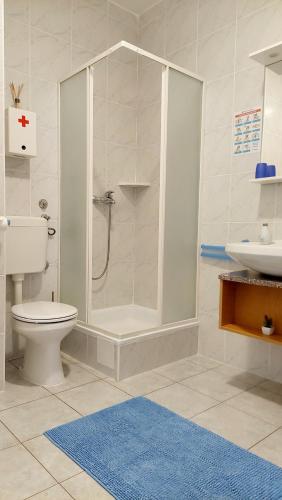 a bathroom with a shower and a toilet and a sink at IstraNova Apartments in Rovinj
