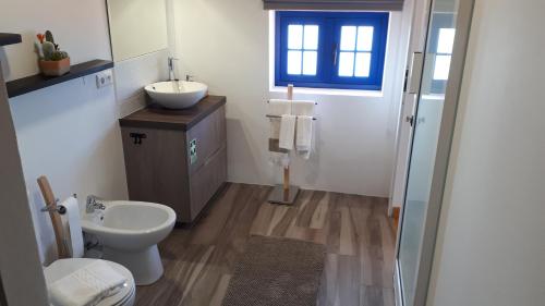 a bathroom with a toilet and a sink at Casa Villa Dinastía Sótão Y Casa Villa Dinastía Miramar in Ribeira Brava