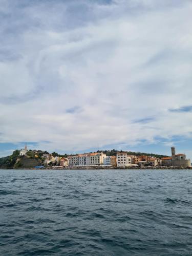 a view of a city from the water at Apartmaji Mila Piran in Piran