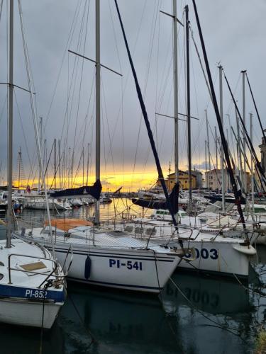 a group of sailboats docked in a marina at sunset at Apartmaji Mila Piran in Piran