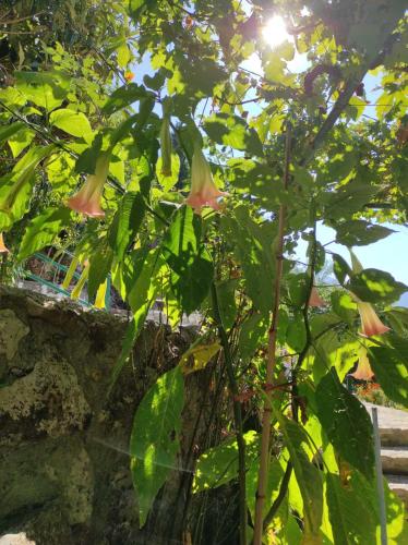 Un paisaje natural cerca of the bed and breakfast