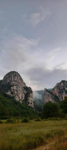 a view of a mountain range with a field and trees at Golemi kamik Pirot Vlasi in Pirot