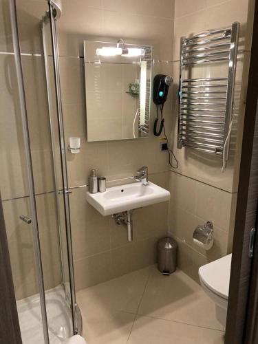 a bathroom with a shower and a sink and a toilet at Silver Luxury 6 in Poiana Brasov