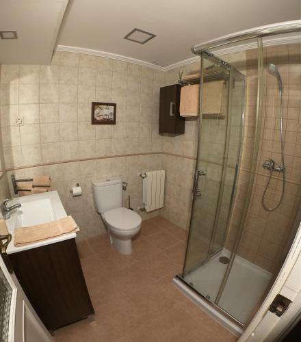 a bathroom with a shower and a toilet and a sink at Casa Rural Guadiela II in San Pedro Palmiches