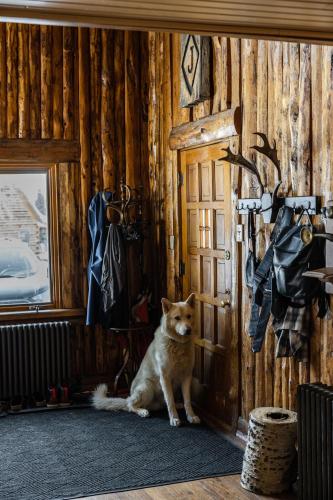 a dog sitting in a room next to a door at Beyul Retreat in Meredith