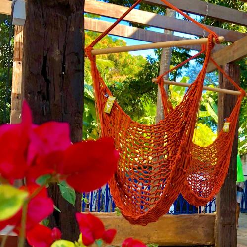 two hammocks hanging from a wooden swing at Guest House & Art Gallery in Olinda