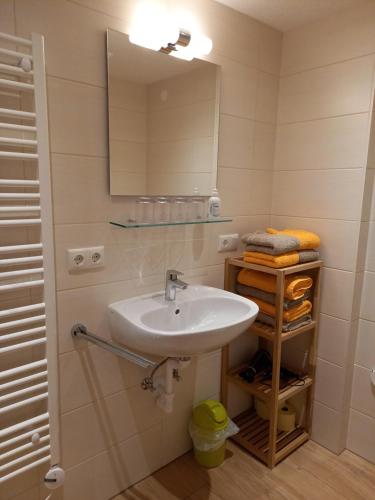 a bathroom with a sink and a mirror at Haus Partoll in Kappl