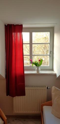 a window with a red curtain and a vase with flowers at Villa Hoffnung in Bad Elster