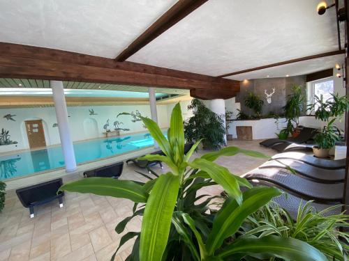 a house with a swimming pool in a room with plants at Berghoteltirol in Jungholz