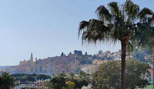 a palm tree in front of a city at MENTON BORD DE MER Studio calme avec balcon, Ascenseur, Climatisation, Ideal location quiet near sea, balcony, elevator, AC in Menton